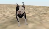Pitbull for San Andreas Mod